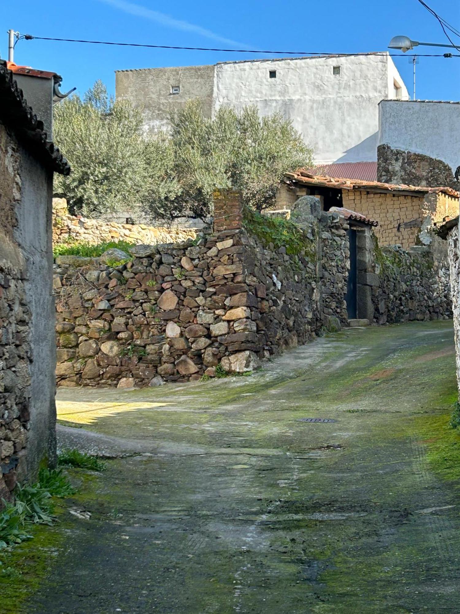 Casa Rural La Manzanilla Salvatierra de Santiago Exterior foto
